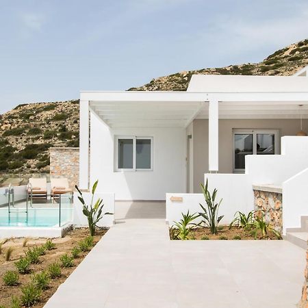 Theros Luxury Villas Damatria Extérieur photo